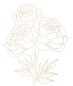 Preview: goldene Motive