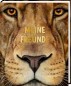 Preview: Spiegelburg Freundebuch Wilde Tiere Afrikas