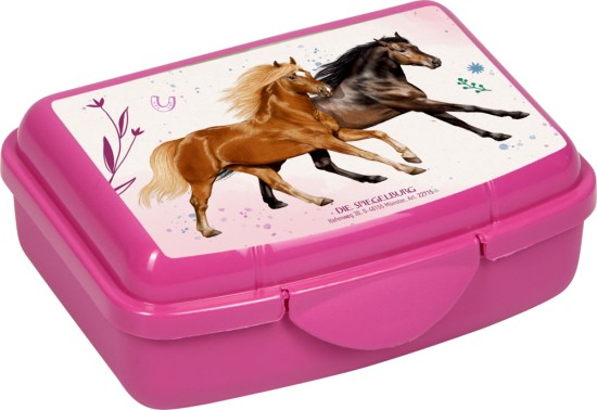 Mini Snackbox Pferdefreunde
