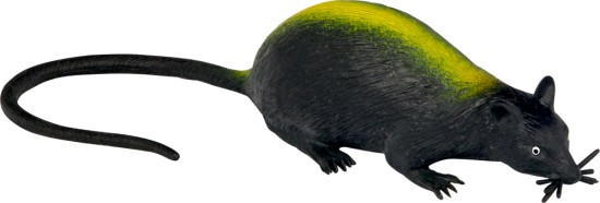 Spiegelburg Kanalratte