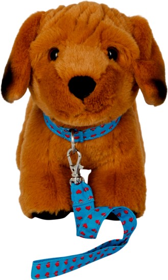 Preview: Joey mit Halsband und Leine