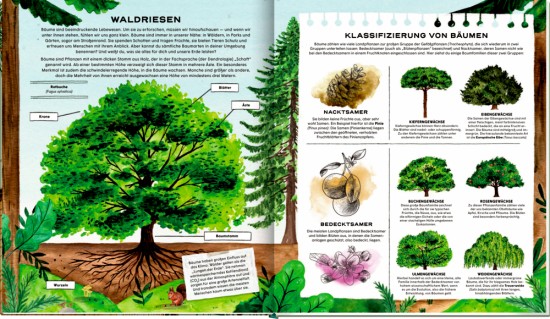 Preview: Einblick ins Buch