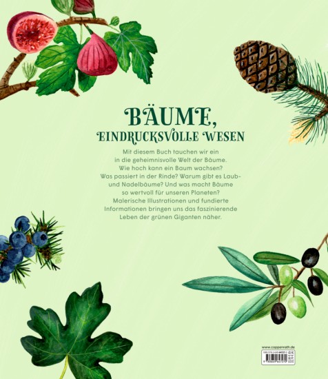 Preview: Rückseite
