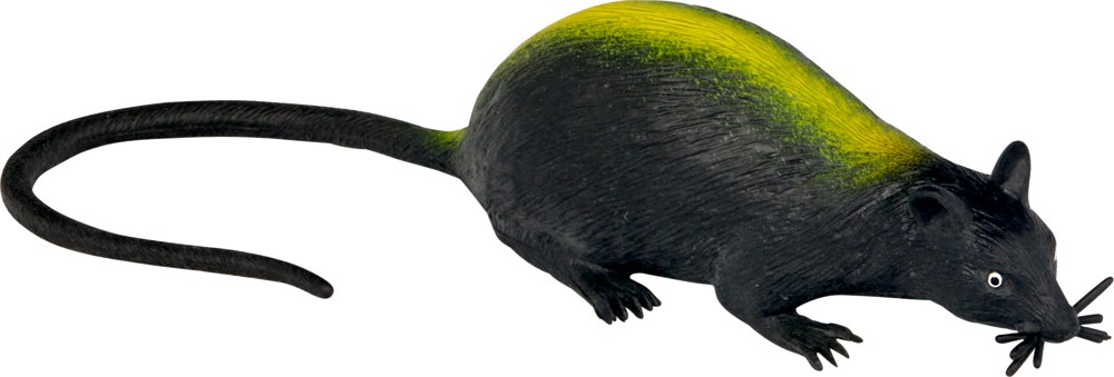 Spiegelburg Kanalratte