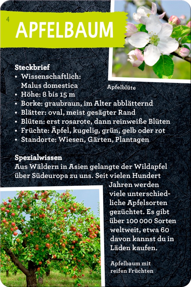Beispielkarte