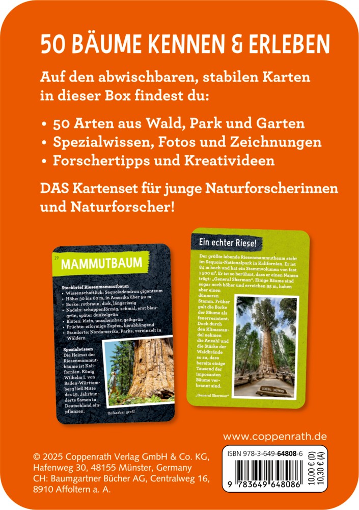 Rückseite